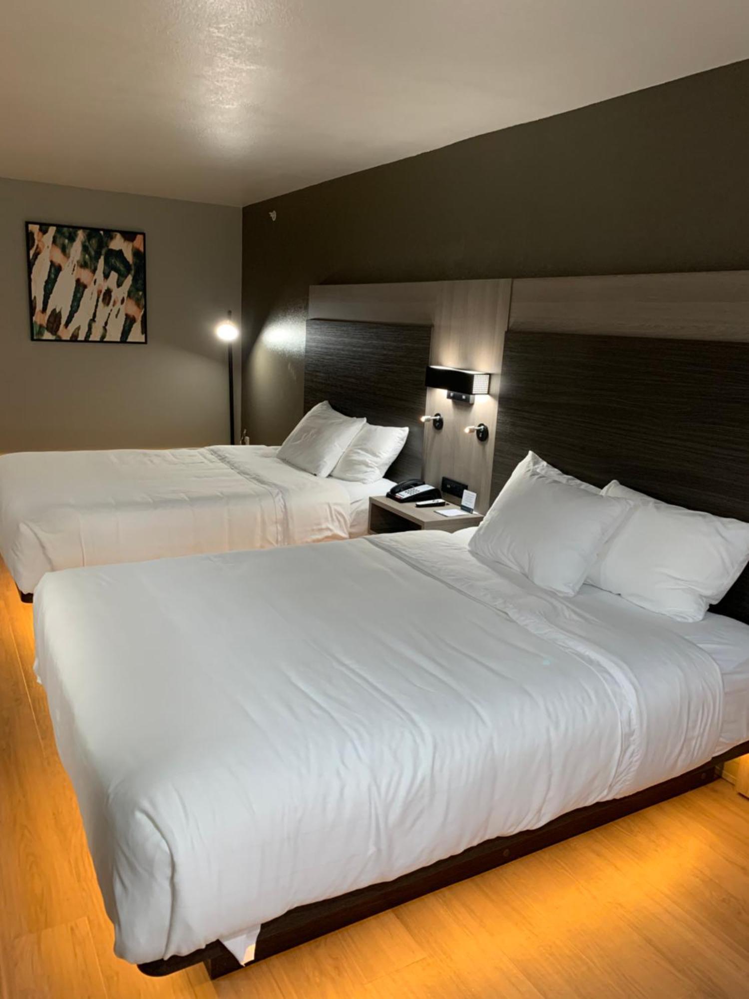 Quality Inn & Suites North Mesquite I-30 Bilik gambar